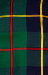 Gretchen Scott Plaidly cooper print - green and navy plaid with red and yellow lines